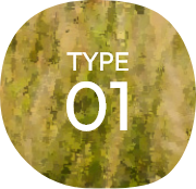 TYPE01