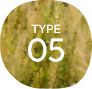 TYPE05