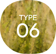TYPE06