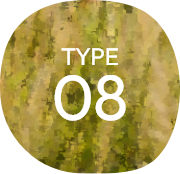 TYPE08