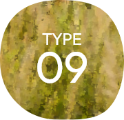 TYPE09