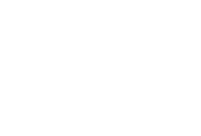 3.BAG
